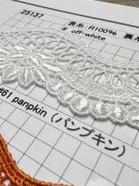 25137 Narrow Width Chemical Lace Kyowa Lace Sub Photo
