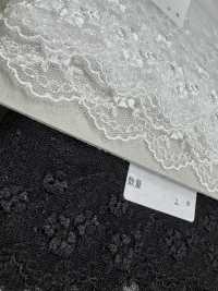 24246 Tulle Lace Kyowa Lace Sub Photo