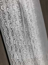 24332 Narrow Tulle Lace Kyowa Lace Sub Photo