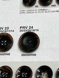 PRV24 Nut-like Button IRIS Sub Photo