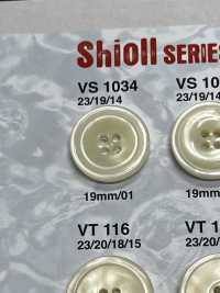VS1034 Shell Button IRIS Sub Photo