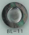 BL-11 Shell Button With Shank