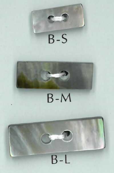 B 2-hole Rectangular Shell Button