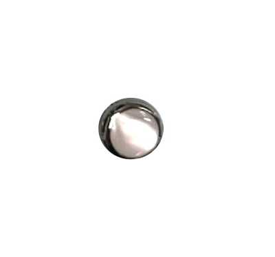 AB15S Rimmed Back-Hole Takase Shell Button