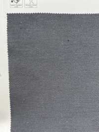 854 TTC Poplin[Textile / Fabric] VANCET Sub Photo