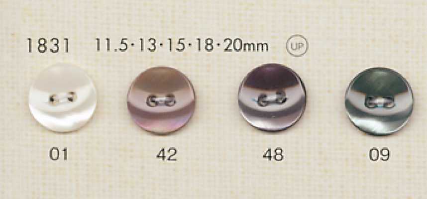 1831 DAIYA BUTTONS Shell-Style Polyester Buttons