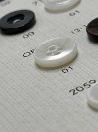 OPH331 DAIYA BUTTONS Shell-like Polyester Button DAIYA BUTTON(DAIYA BUTTON) Sub Photo