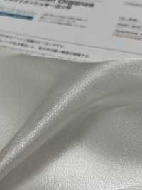 SC2011-1 Bright Mesh Organdy[Textile / Fabric] Suncorona Oda Sub Photo