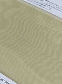 2601R Silk Rich Organza[Textile / Fabric] Suncorona Oda Sub Photo