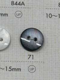 71 DAIYA BUTTONS Two- Mother Of Pearl Shell Polyester Buttons DAIYA BUTTON(DAIYA BUTTON) Sub Photo