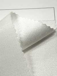 ONMA-035 Mikado (Silk Mix Satin)[Textile / Fabric] Suncorona Oda Sub Photo