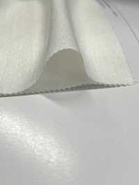 2470A Light Shantung[Textile / Fabric] Suncorona Oda Sub Photo