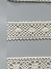 SIC-7262 Organic Cotton Torsion Lace/15mm SHINDO(SIC) Sub Photo