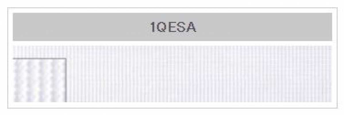 1QESA POWERHOOK® Hook And Loop Small Type (1.2mm)