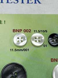 BNP-002 Biopolyester 4-hole Button IRIS Sub Photo