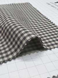 14300 40s Earth Gingham / Stripe[Textile / Fabric] VANCET Sub Photo