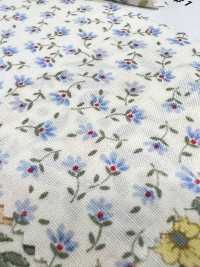 6100 SEVENBERRY Broadcloth Floret Print[Textile / Fabric] VANCET Sub Photo