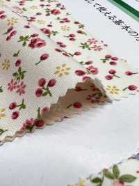 6110 SEVENBERRY Broadcloth Floret Pattern[Textile / Fabric] VANCET Sub Photo