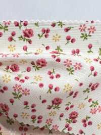 6110 SEVENBERRY® Broadcloth Small Flower Pattern[Textile / Fabric] VANCET Sub Photo