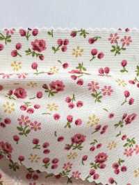 6110 SEVENBERRY Broadcloth Floret Pattern[Textile / Fabric] VANCET Sub Photo