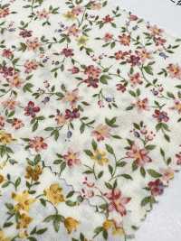 6110 SEVENBERRY Broadcloth Floret Pattern[Textile / Fabric] VANCET Sub Photo