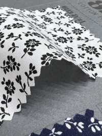 6113 SEVENBERRY Broadcloth Monochrome Series[Textile / Fabric] VANCET Sub Photo