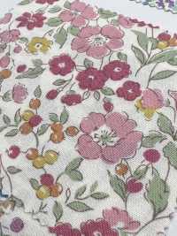 6116 SEVENBERRY Broadcloth Flower Collection[Textile / Fabric] VANCET Sub Photo