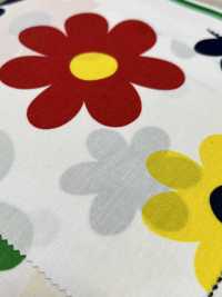 6118 SEVENBERRY Broadcloth Flower Collection[Textile / Fabric] VANCET Sub Photo