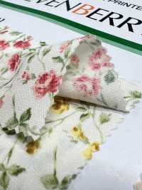 6120 SEVENBERRY Broadcloth Old Flower[Textile / Fabric] VANCET Sub Photo