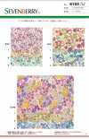 6163 SEVENBERRY® Broadcloth With Small Floral Pattern