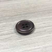 NUT-2004 Natural Material Nut 4 Hole Button IRIS Sub Photo