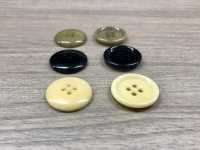 NUT-971 Natural Material Nut 4 Hole Button IRIS Sub Photo