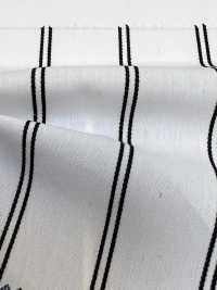 35460 Ivy Broadcloth(Coolmax® Eco Made Fabric) [Stripes][Textile / Fabric] SUNWELL Sub Photo