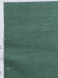 11660 16sBD Cotton Jersey[Textile / Fabric] SUNWELL Sub Photo