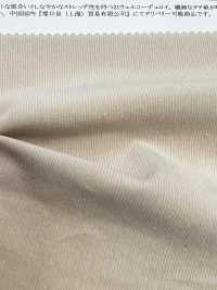 13167 21 Wel Corduroy Stretch[Textile / Fabric] SUNWELL Sub Photo