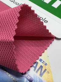 SD2230 Shadan Soarion Honeycomb[Textile / Fabric] Masuda Sub Photo