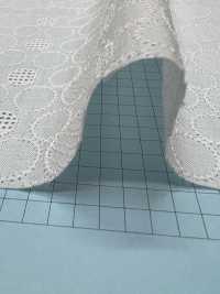 T26088-1 Cotton Lace AO Off White[Textile / Fabric] Kyowa Lace Sub Photo