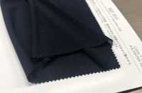 KKF2010 Shiny Espandinite[Textile / Fabric] Uni Textile(Komon Studio) Sub Photo