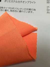 AP61491 Polyester Cation Bright[Textile / Fabric] Japan Stretch Sub Photo