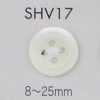 SHV17 4-hole, Bordered Shell Button