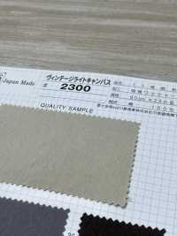 2300 Fujikinbai Cotton Canvas No. 11 Vintage Light Canvas[Textile / Fabric] Fuji Gold Plum Sub Photo