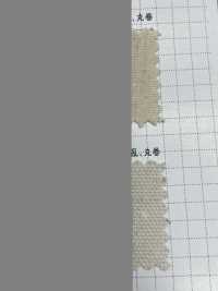 K1420 Fujikinbai Cotton 10/8 Oxford Generation Refining[Textile / Fabric] Fuji Gold Plum Sub Photo