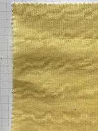 SBW4850 Organic Double Gauze[Textile / Fabric] SHIBAYA Sub Photo