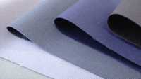 2-510790 Wool Back Satin Infuse Hard Type[Textile / Fabric] TAKISADA NAGOYA Sub Photo