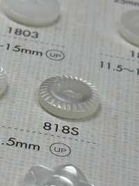 818S DAIYA BUTTONS Two Shell Polyester Button DAIYA BUTTON(DAIYA BUTTON) Sub Photo
