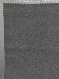 1060030 Cation Taslan High Stretch Gabardine[Textile / Fabric] TAKISADA NAGOYA Sub Photo