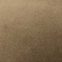 SB5670 Wide Width Velveteen[Textile / Fabric] SHIBAYA Sub Photo