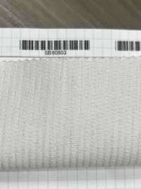 SB80803 Wide Width 8W Corduroy[Textile / Fabric] SHIBAYA Sub Photo