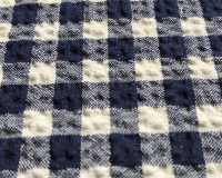 3-2538GINGHAM CHECK SUBALPINO Shear Seersucker Gingham Check[Textile / Fabric] TAKISADA NAGOYA Sub Photo