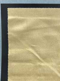 1093160 Double Woven Lightweight Sweatshirt Corduroy[Textile / Fabric] TAKISADA NAGOYA Sub Photo